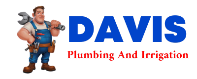 Trusted plumber in DIANA